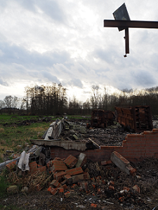 photo de la sculpture Perroquet